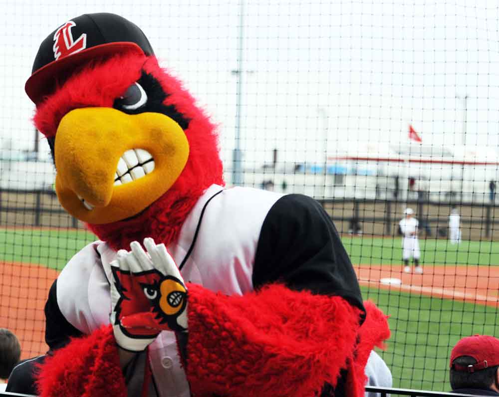 [Image: Cardinal-Bird-Baseball1.jpg]